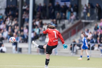Bild 173 - wBJ Hamburger SV - FC Suederelbe : Ergebnis: 9:0